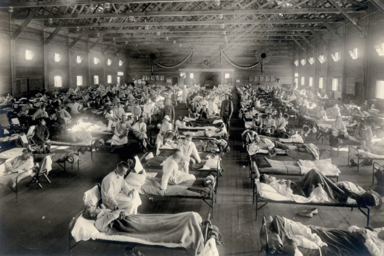 An Interesting Article About the 1918 Flu Epidemic