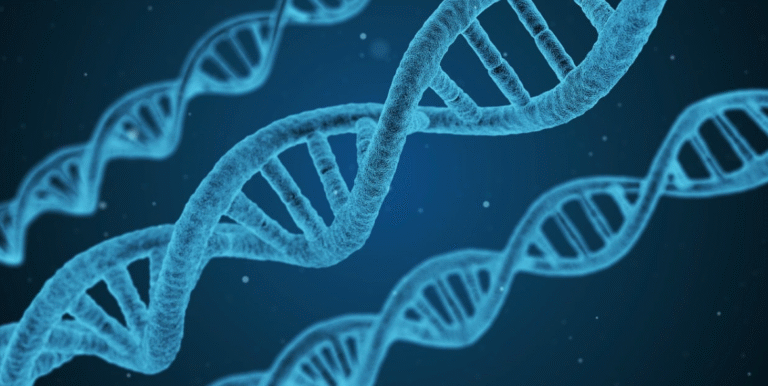 Homeopathic medicine alters the expression of genes in human cells