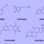 Homeopathy and Hormones