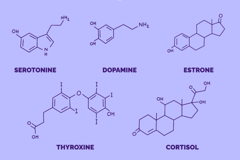 Homeopathy and Hormones